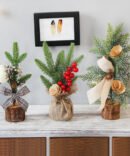 Christmas Decoration Potted Plants