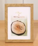 Wooden Photo Frames
