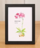 Wooden Photo Frames